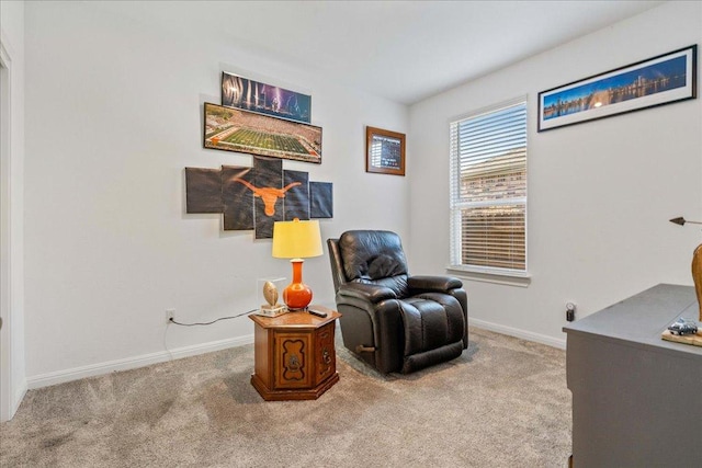 185 Slenderleaf Dr, Marble Falls, TX 78654 - sitting room featuring carpet floors and baseboards