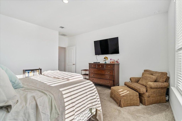 185 Slenderleaf Dr, Marble Falls, TX 78654 - bedroom with carpet