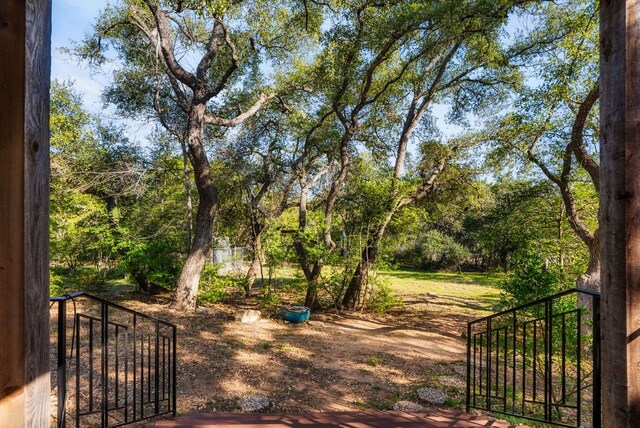 603 N Tumbleweed Trl, Austin, TX 78733 - view of yard