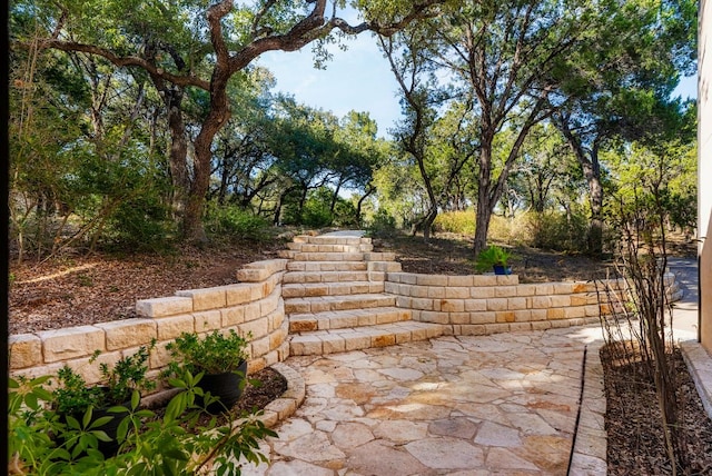603 N Tumbleweed Trl, Austin, TX 78733 - view of patio