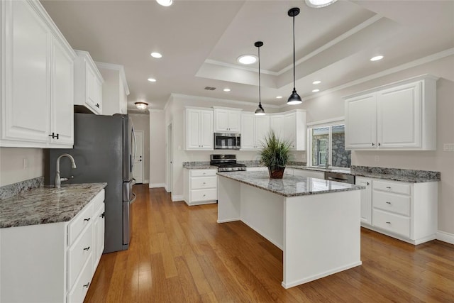 948 Hudson Ln, New Braunfels, TX 78130 - kitchen with stainless steel appliances, crown molding, a tray ceiling, light wood-style flooring, and a kitchen island