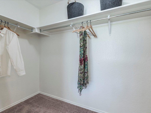 171 Beech Dr, Kyle, TX 78640 - walk in closet featuring carpet flooring