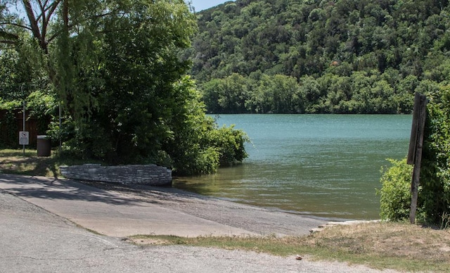 water view with a view of trees