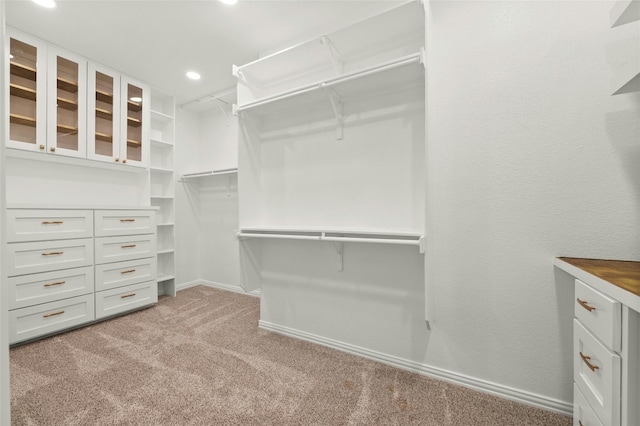 5305 Cardinal Flower Cv, Spicewood, TX 78669 - spacious closet with light colored carpet