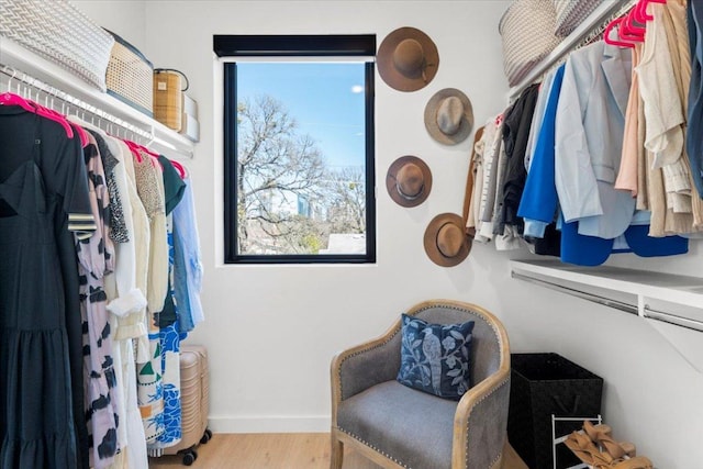 walk in closet featuring wood finished floors