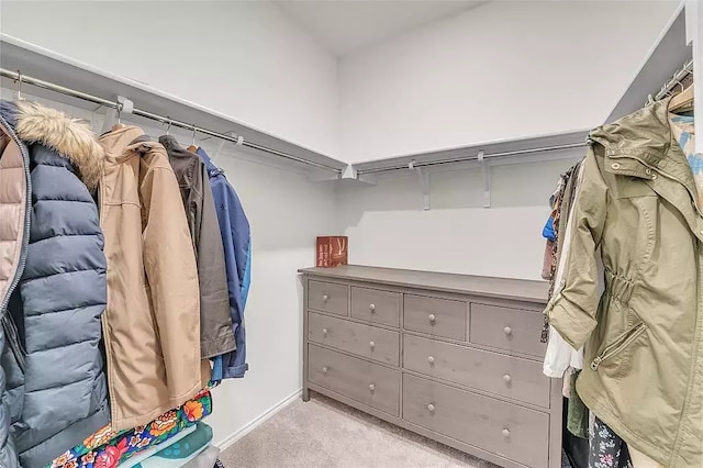 spacious closet with light colored carpet