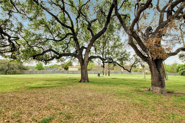 11901 Swearingen Dr Unit 103, Austin, TX 78758 - view of yard