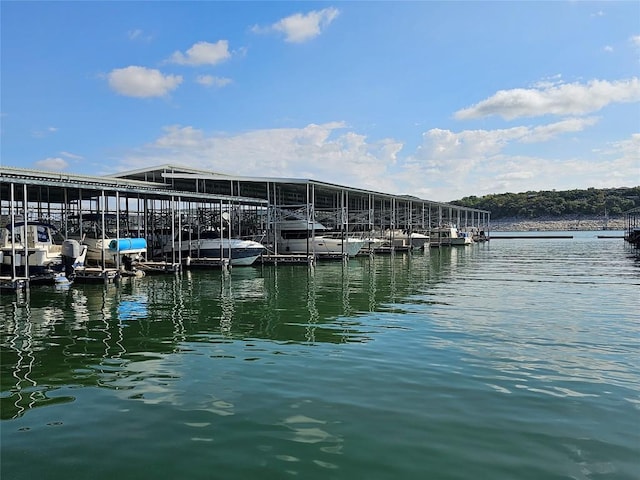 dock area featuring a water view