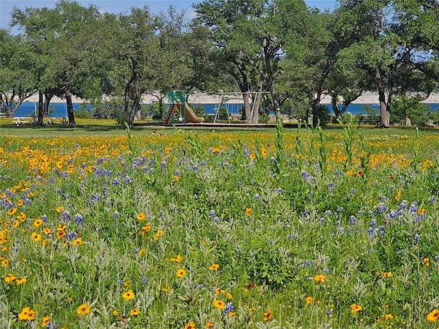 5608 Arroyo Rd, Austin, TX 78734 - view of yard