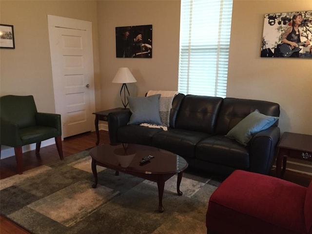 living room featuring dark wood finished floors