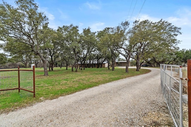 view of road with driveway and a gated entry