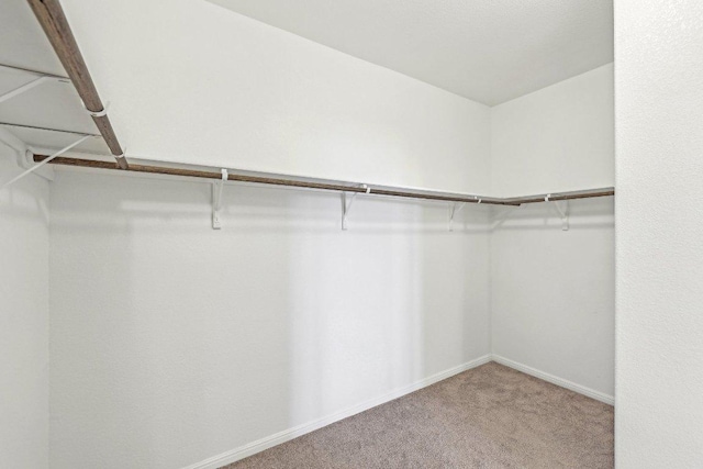 walk in closet with carpet