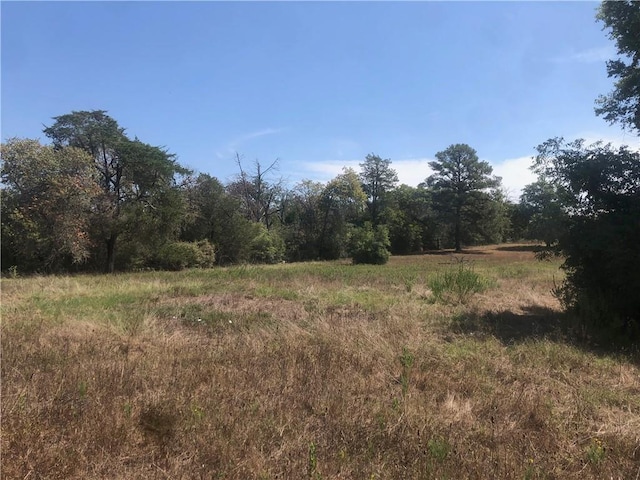 Listing photo 2 for TBD Mount Pleasant Ave, Smithville TX 78957