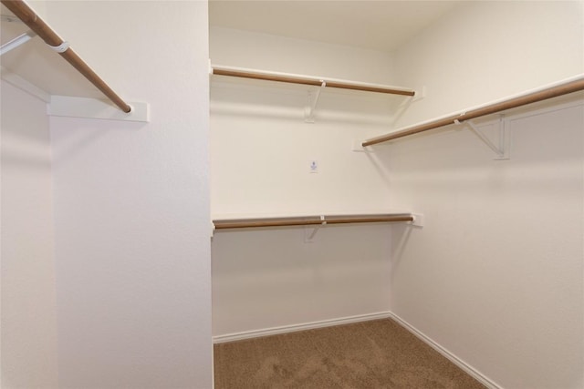 121 Winecup Path, Cedar Creek, TX 78612 - walk in closet featuring carpet flooring