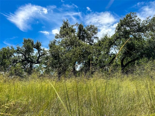 3942 Mount Sharp Rd, Wimberley, TX 78676 - photo 6