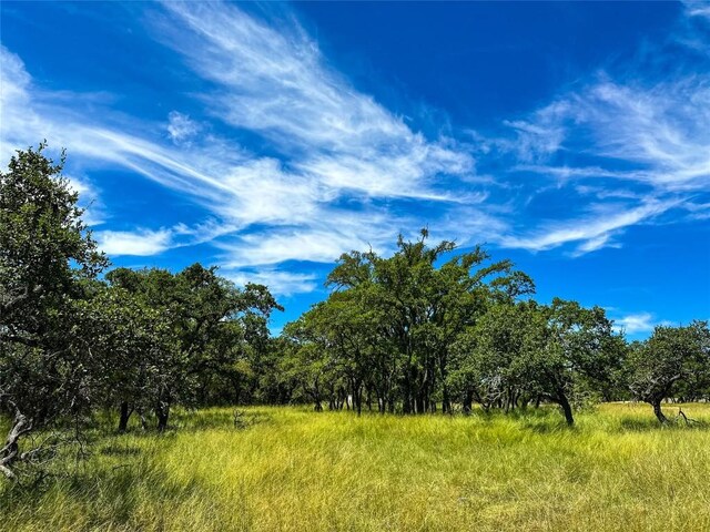 3942 Mount Sharp Rd, Wimberley, TX 78676 - photo 11