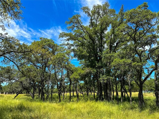 3942 Mount Sharp Rd, Wimberley, TX 78676 - photo 12