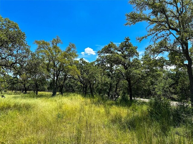 3942 Mount Sharp Rd, Wimberley, TX 78676 - photo 15