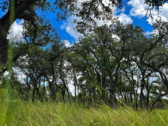 3942 Mount Sharp Rd, Wimberley, TX 78676 - photo 21