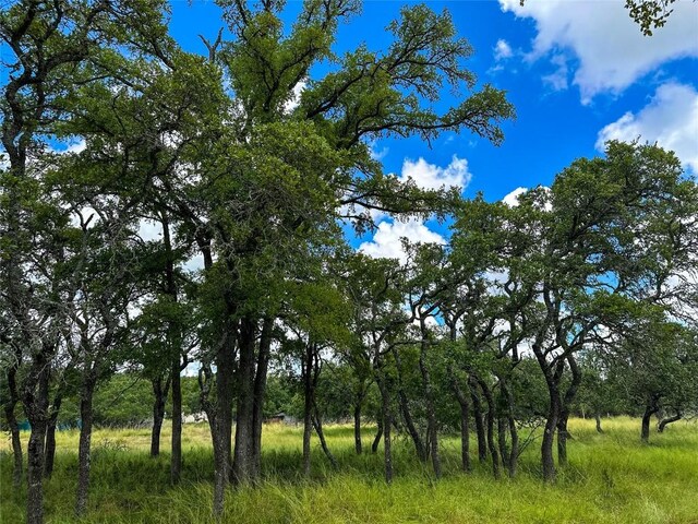 3942 Mount Sharp Rd, Wimberley, TX 78676 - photo 22