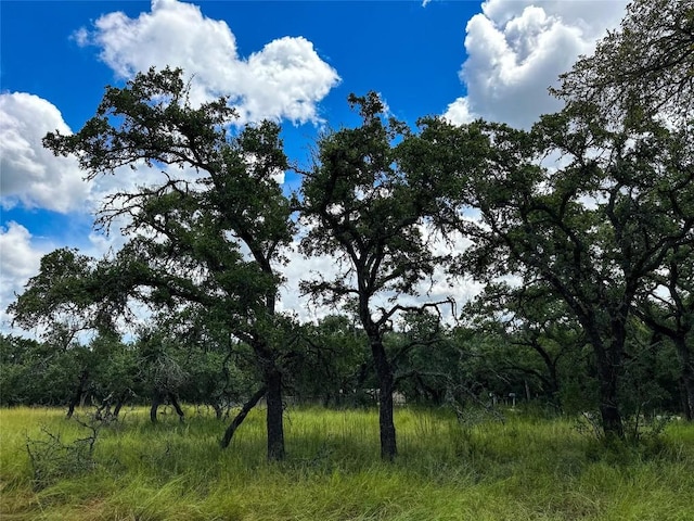 3942 Mount Sharp Rd, Wimberley, TX 78676 - photo 23