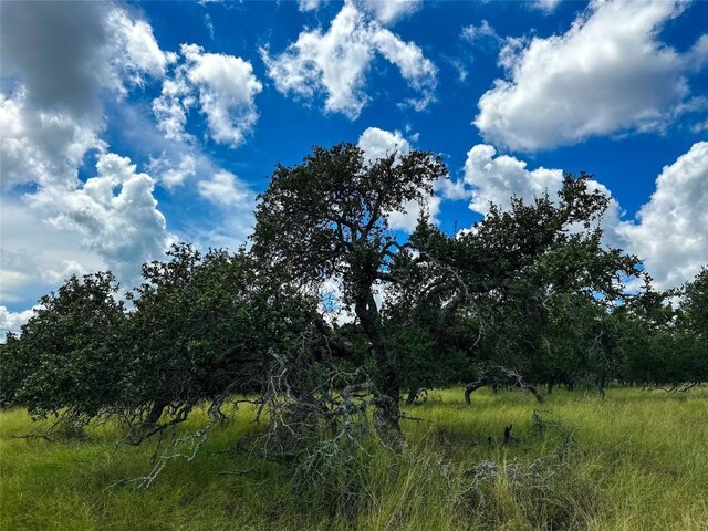 3942 Mount Sharp Rd, Wimberley, TX 78676 - photo 24