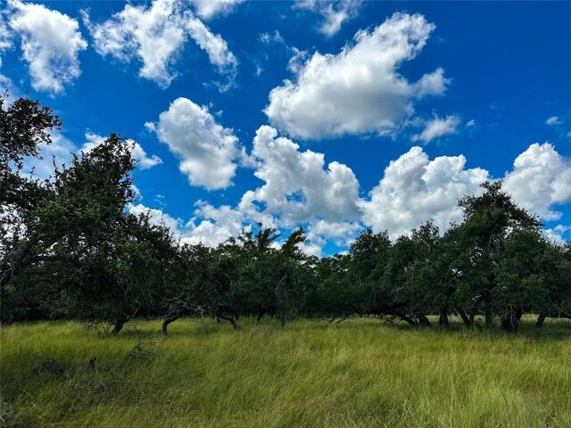 3942 Mount Sharp Rd, Wimberley, TX 78676 - photo 25