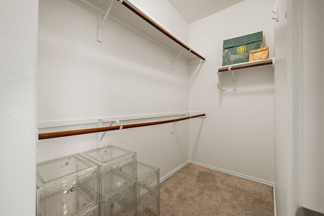 spacious closet featuring carpet flooring