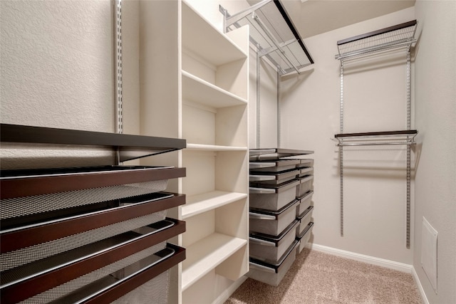 spacious closet featuring carpet