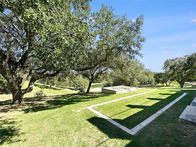 view of community with a yard