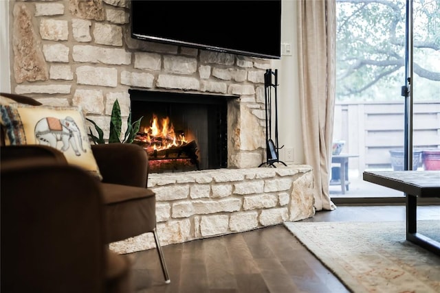 interior details with a stone fireplace and wood finished floors