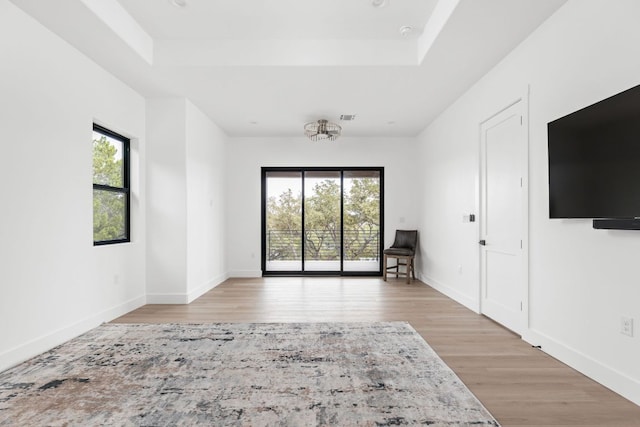 1105 Oak Hurst Rd, Austin, TX 78734 - unfurnished room with a tray ceiling and wood finished floors