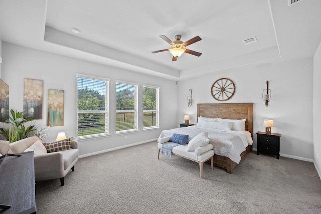 156 Mary Elise Way, Austin, TX 78737 - carpeted bedroom with a raised ceiling and ceiling fan