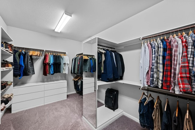 spacious closet featuring carpet floors