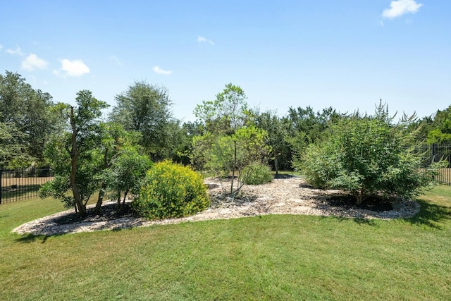 156 Mary Elise Way, Austin, TX 78737 - view of yard