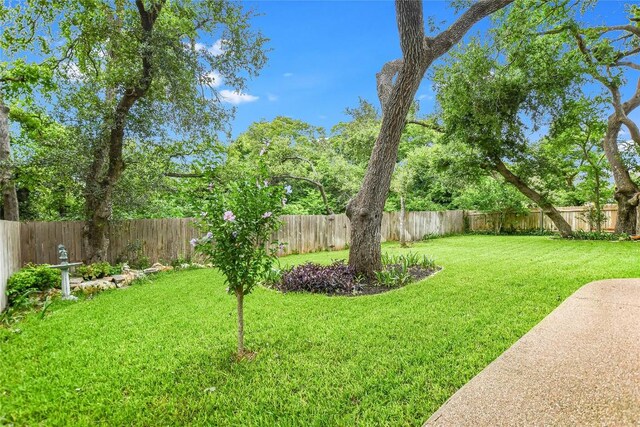 1320 Becca Teal Pl, Round Rock, TX 78681 - photo 33