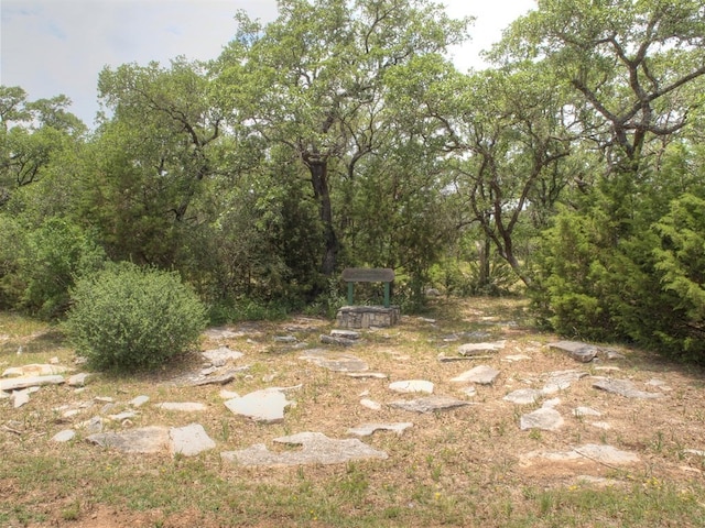 1320 Becca Teal Pl, Round Rock, TX 78681 - photo 39