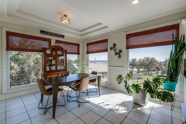 sunroom with a tray ceiling