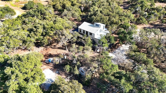 4016 Mcgregor Ln, Dripping Springs, TX 78620 - photo 29