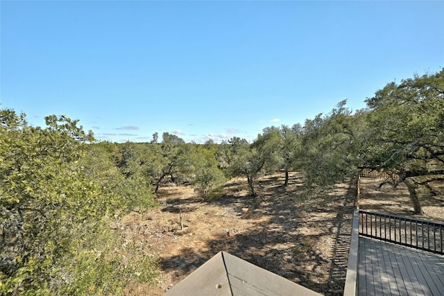 4016 Mcgregor Ln, Dripping Springs, TX 78620 - photo 24