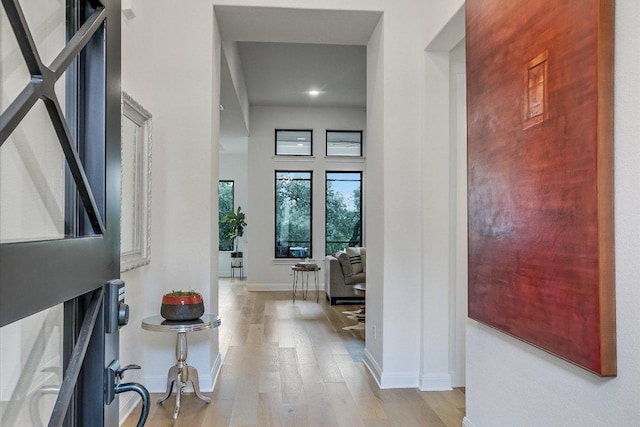 foyer entrance with a high ceiling, baseboards, and wood finished floors