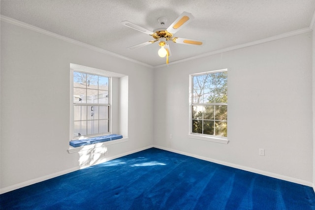 carpeted empty room with a wealth of natural light and crown molding