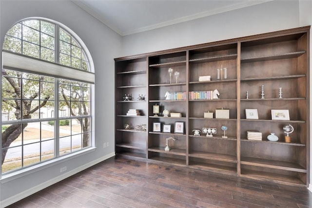 interior space featuring baseboards, plenty of natural light, wood finished floors, and crown molding