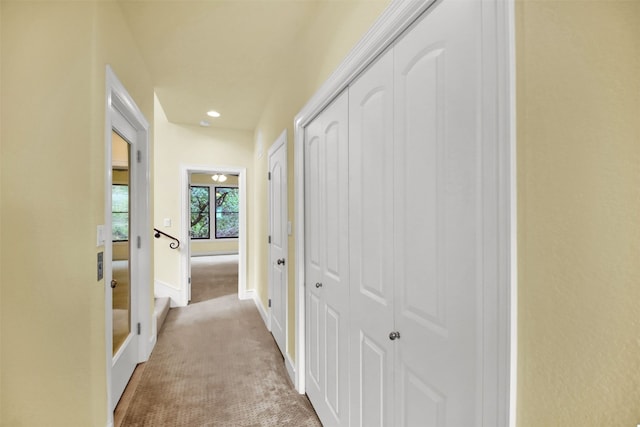 corridor featuring carpet floors