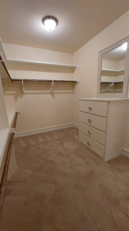 spacious closet with light colored carpet