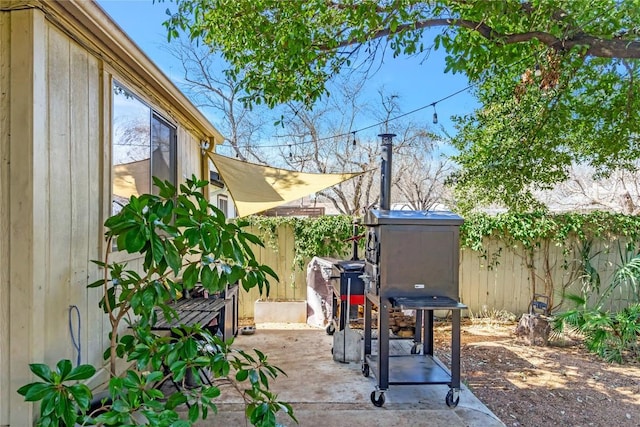 view of yard featuring a patio and a fenced backyard