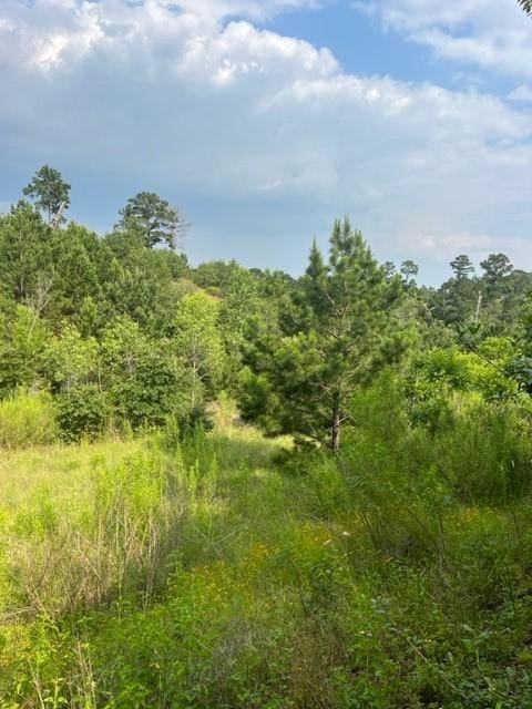 LOT798 Tahitian Dr, Bastrop TX, 78602 land for sale