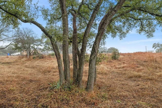 Listing photo 3 for 708 Baines St, Salado TX 76571