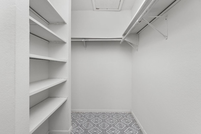 view of spacious closet