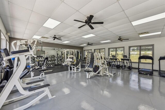 exercise room with ceiling fan and a paneled ceiling